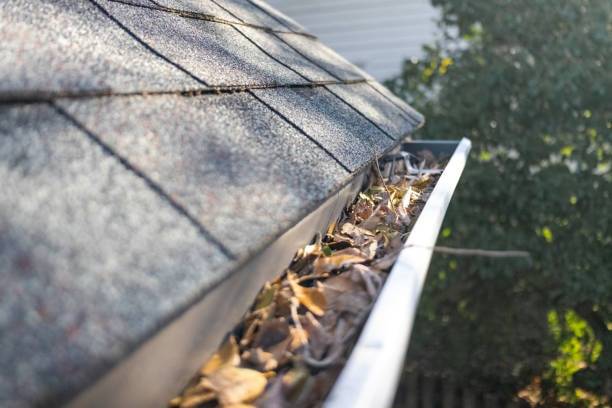 Close-up of a roof edge with a white gutter packed with dry brown leaves